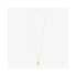 Фото #1 товара RADIANT RY000028 necklace