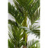 Фото #8 товара Deko Pflanze Palm Tree