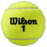 Фото #4 товара WILSON Roland Garros All Court Tennis Balls