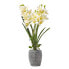 Фото #2 товара Künstliche Orchidee im Zement