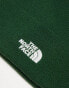 The North Face Norm beanie in pine green