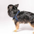 Фото #2 товара AWOO Roam No-pull Adjustable Recycled Dog Harness - XS - Navy