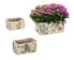 Фото #2 товара Länglicher Blumentopf Birke im 3er Set