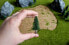NOCH Model Fir Trees - Brown - Green