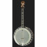 Фото #2 товара Gold Tone IT-250-F Irish Tenor Banjo w/C