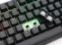 Фото #2 товара Ducky ONE 2 RGB - Full-size (100%) - USB - Mechanical - RGB LED - Black