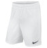 NIKE Park II Shorts