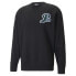 Фото #1 товара Худи мужское PUMA Team Crew Neck Long Sleeve - черное