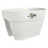 ELHO - Blumentopf - Vibia Campana Flower Bridge 40 - Seidenwei - Auenbalkon - L 26 x B 39 x H 22 cm