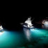 Фото #5 товара LUMITEC Seablaze X2 White/Blue Led Light
