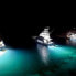 LUMITEC Seablaze X2 White/Blue Led Light