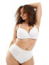 Фото #1 товара Ivory Rose Curve plain t-shirt bra in white