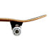 Фото #6 товара YOCAHER Graphic Candy Series Sweet 7.75´´ Skateboard