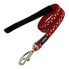 ფოტო #1 პროდუქტის RED DINGO Stars Leash