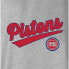 NBA Detroit Pistons Women's Gray Long Sleeve Team Slugger Crew Neck T-Shirt - S