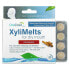 XyliMelts® Dry Mouth, Cinnamon, 40 Melts