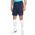 Фото #1 товара NIKE FC Barcelona Dri Fit Strike 22/23 Shorts