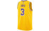 Nike NBA SW 3 Basketball Vest / Workout (AA7099-742)