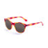 ფოტო #1 პროდუქტის PALOALTO San Francisco Polarized Sunglasses