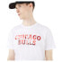 NEW ERA NBA Photographic Wordmark short sleeve T-shirt