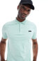 Calvin Klein Slim Polo Shirt in Lichen