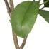 Декоративное растение 116 cm Зеленый PVC Дуб