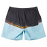 Фото #4 товара QUIKSILVER Wordblock 17´´ Swimming Shorts