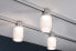 PAULMANN 955.01 - Rail lighting spot - 1 bulb(s) - LED - 2700 K - 400 lm - Chrome - Transparent - White