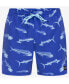 ფოტო #4 პროდუქტის Men's Cannonball Volley 17" Boardshorts