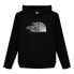 THE NORTH FACE Biner Graphic hoodie