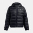 Фото #1 товара UNDER ARMOUR Legend jacket