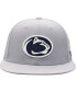 ფოტო #3 პროდუქტის Men's Gray Penn State Nittany Lions Fitted Hat