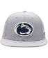 Men's Gray Penn State Nittany Lions Fitted Hat