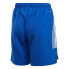 Фото #2 товара ADIDAS Condivo 21 Primeblue Shorts