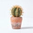 Фото #5 товара Klein Künstlicher Kaktus mit orange