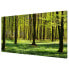 Фото #3 товара Magnettafel Waldwiese