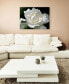 Kurt Shaffer 'Lovely Gardenia' Canvas Art - 47" x 35"