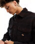 Фото #4 товара Dickies alma check corduroy shirt in black