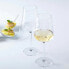 Фото #3 товара Бокал для белого вина c измерительной линейкой Puccini LEONARDO