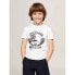 Фото #1 товара TOMMY HILFIGER Greetings From short sleeve T-shirt
