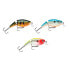 Фото #1 товара RAPALA Jointed Shallow Shad Rap Crankbait 70 mm 11g