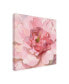 Фото #2 товара Danhui Nai Blushing Peony Canvas Art - 36.5" x 48"