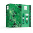 Фото #1 товара Luminous Emerald - deodorant ve spreji 150 ml + sprchový gel 250 ml