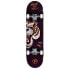 PLAYLIFE Tiger 8.0´´ Skateboard