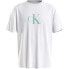 CALVIN KLEIN KM0KM00971 short sleeve T-shirt