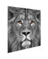 Фото #2 товара King Of The Jungle Ab Frameless Free Floating Tempered Glass Panel Graphic Wall Art, 72" x 36" x 0.2" Each