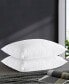 Фото #1 товара Teardrop Quilted Goose Down and Feather 2-Pack Pillows, Standard/Queen