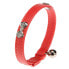 ფოტო #1 პროდუქტის FERPLAST Joy 12 mm 28 cm Cat Collar