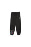 Фото #1 товара Брюки спортивные PUMA X Liberty Sweatpants для женщин