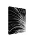 Фото #2 товара Incado White Feather Canvas Art - 36.5" x 48"